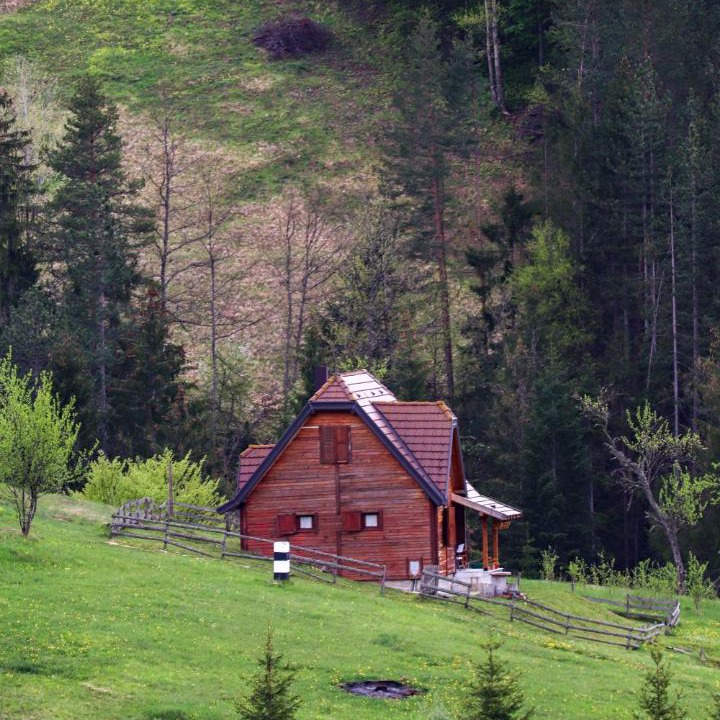 Photo of Others in Bajina Basta