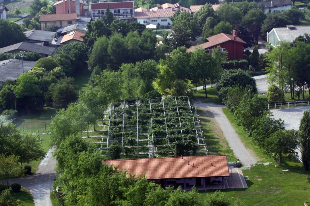Photo of Buildings in Vivaro