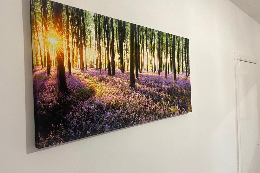 Photo of Bedroom in MacMerry