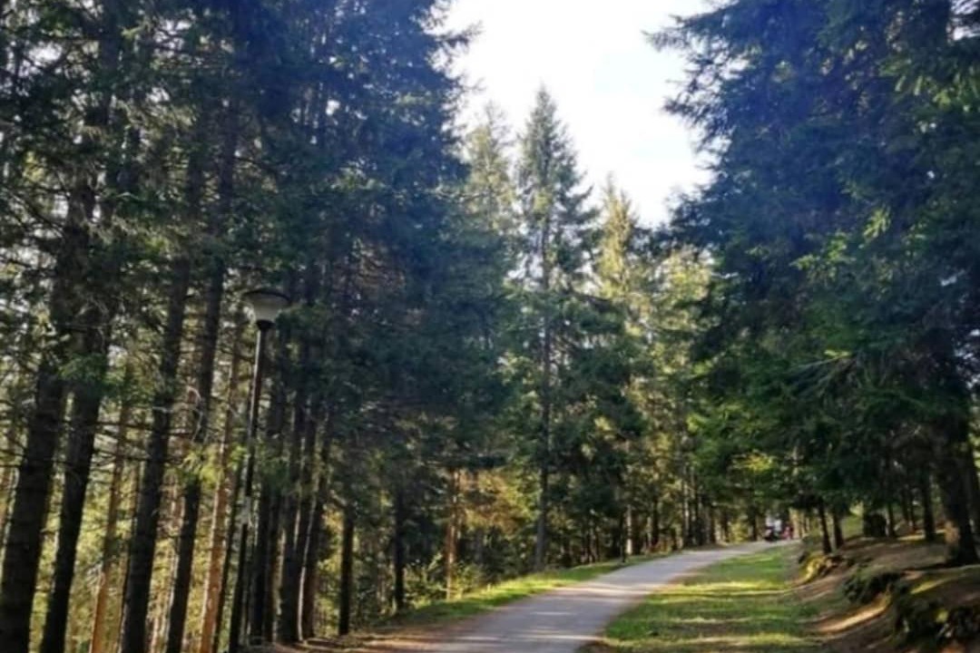 Photo of Others in Zlatibor