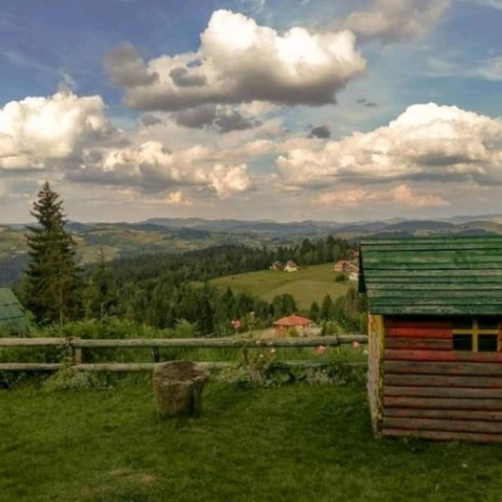 Photo of Others in Zlatibor