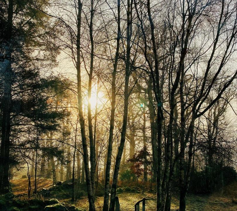 Photo of Outdoor in Kinlocheil