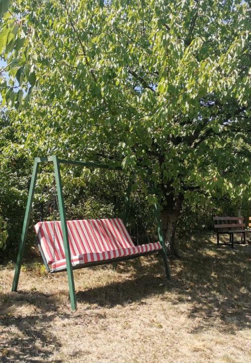 Photo of Outdoor in Mladenovac