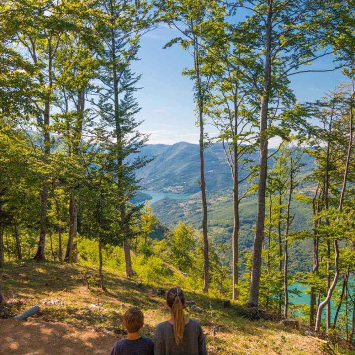 Photo of Outdoor in Tara National Park