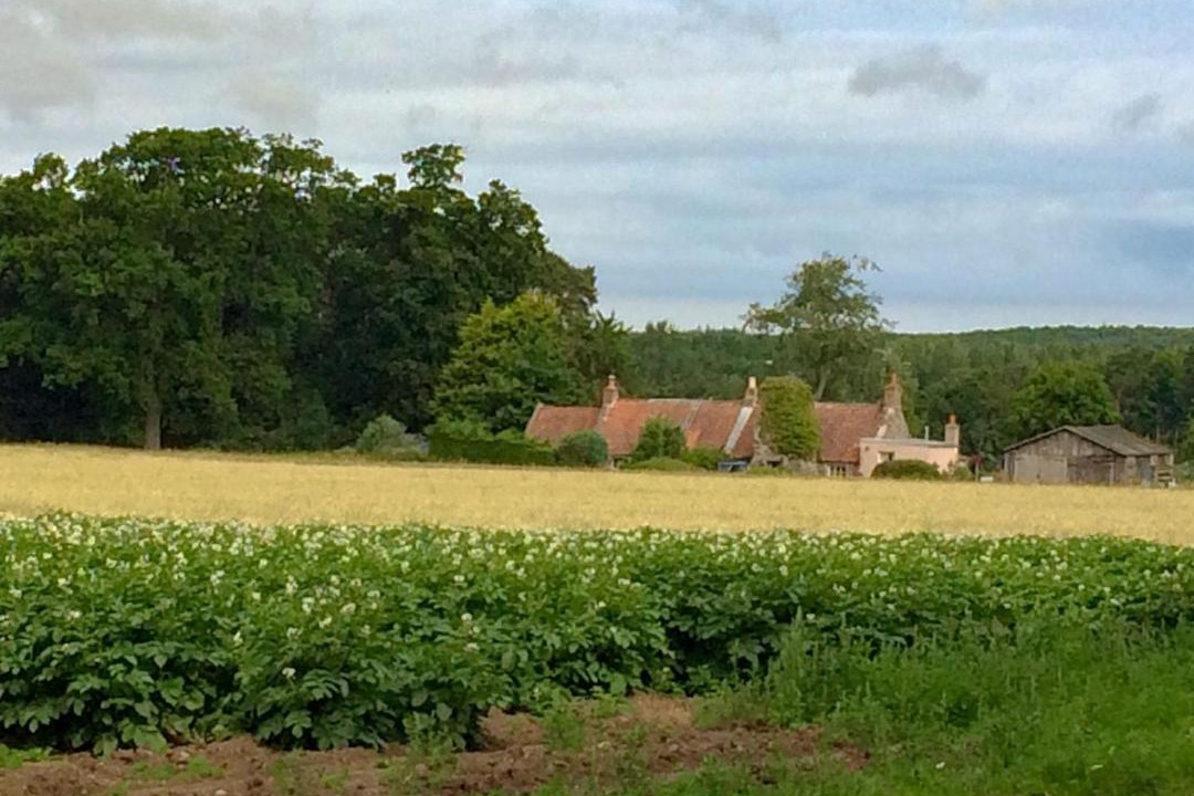 Photo of Others in East Linton