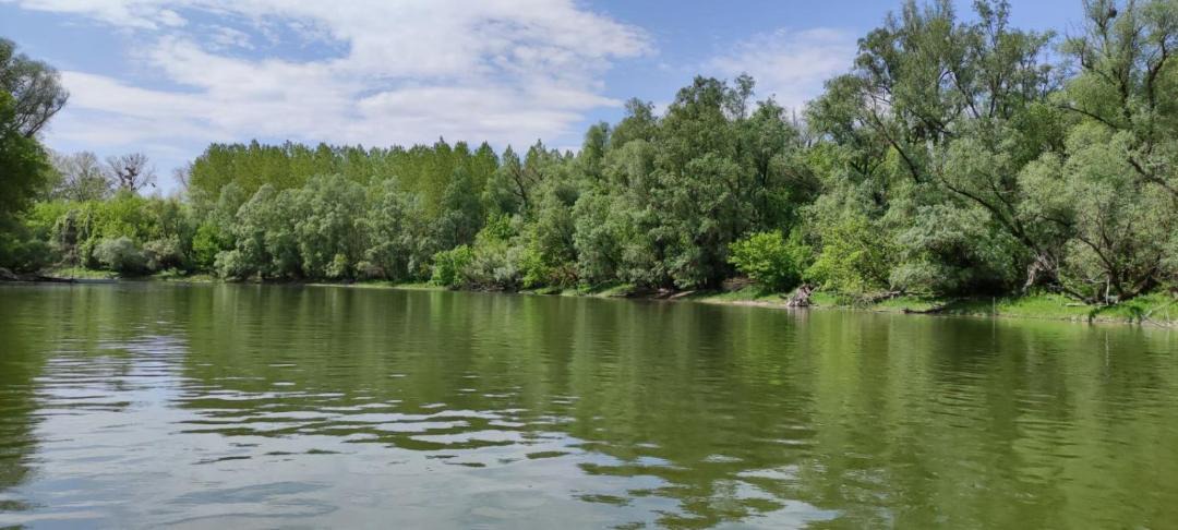 Photo of Outdoor in Serbia