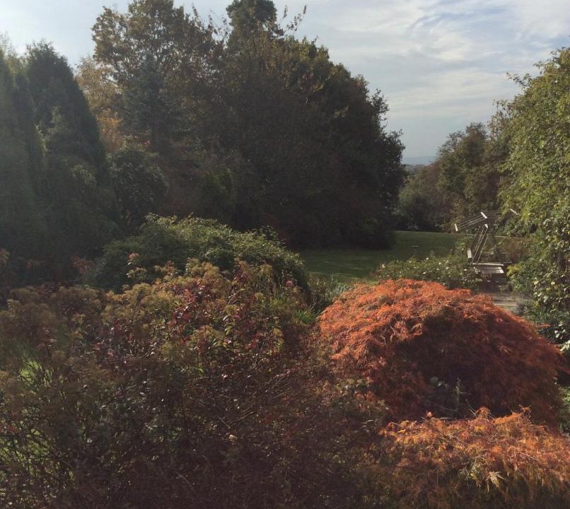 Photo of Outdoor in Sheffield Green