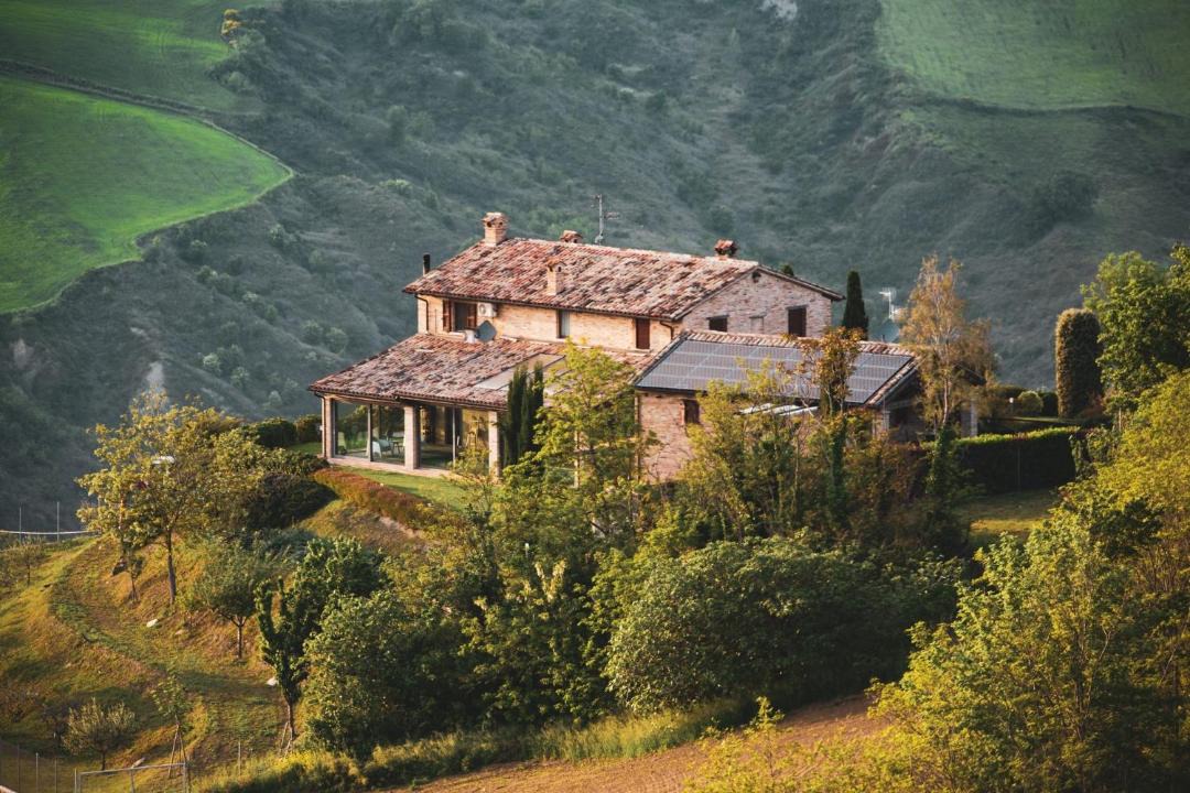 Photo of Others in Urbino