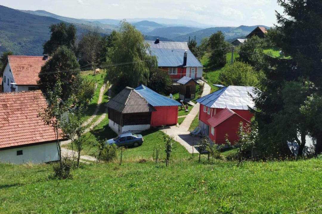 Photo of Others in Zlatibor