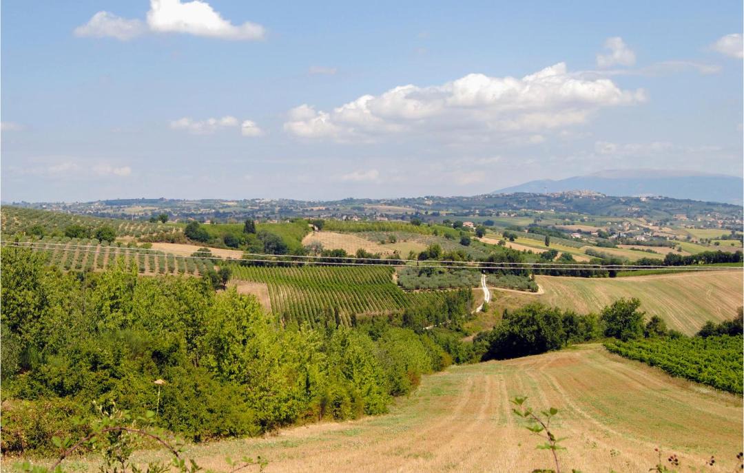 Photo of Others in Gualdo Cattaneo