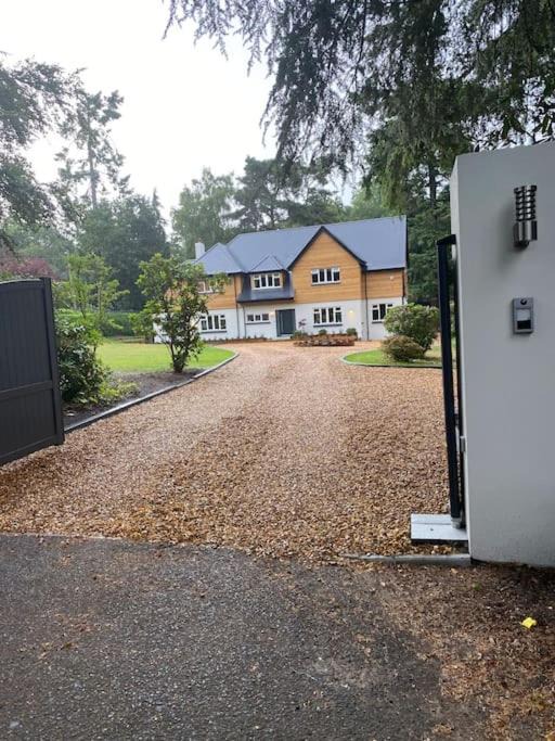Photo of Buildings in Ferndown