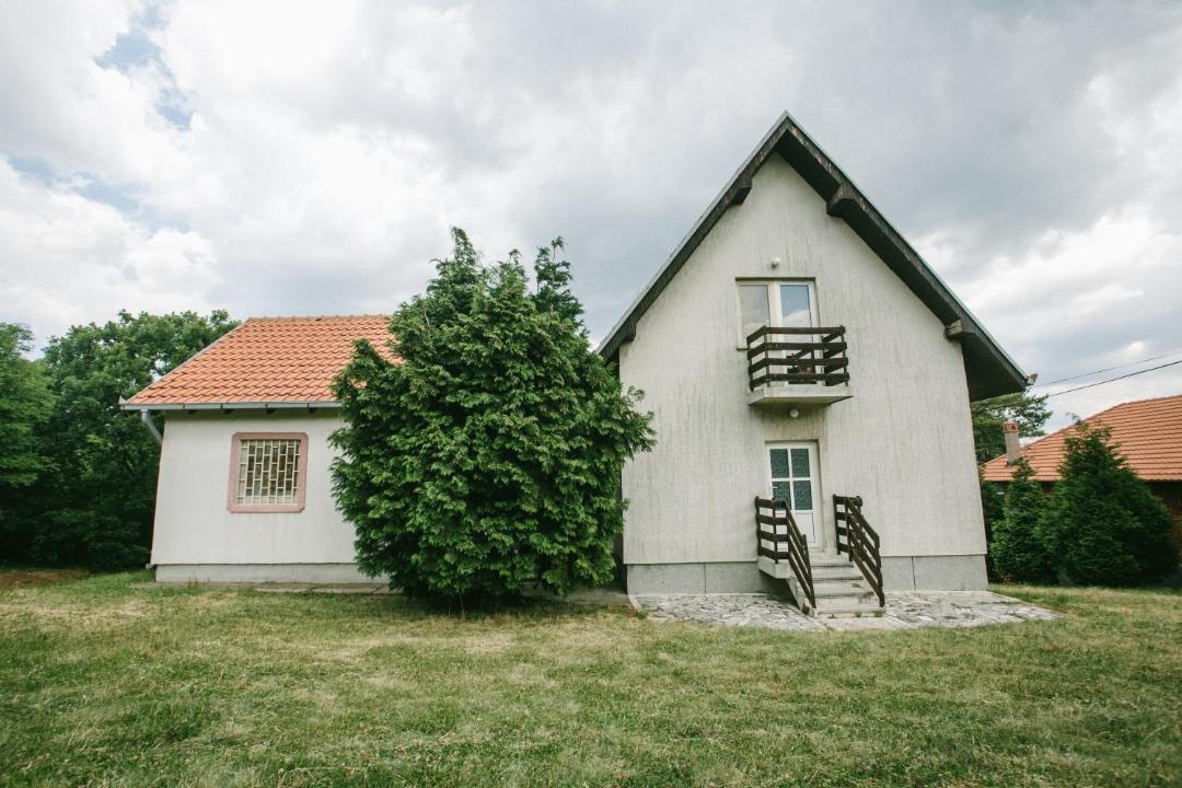 Photo of Buildings in Mladenovac