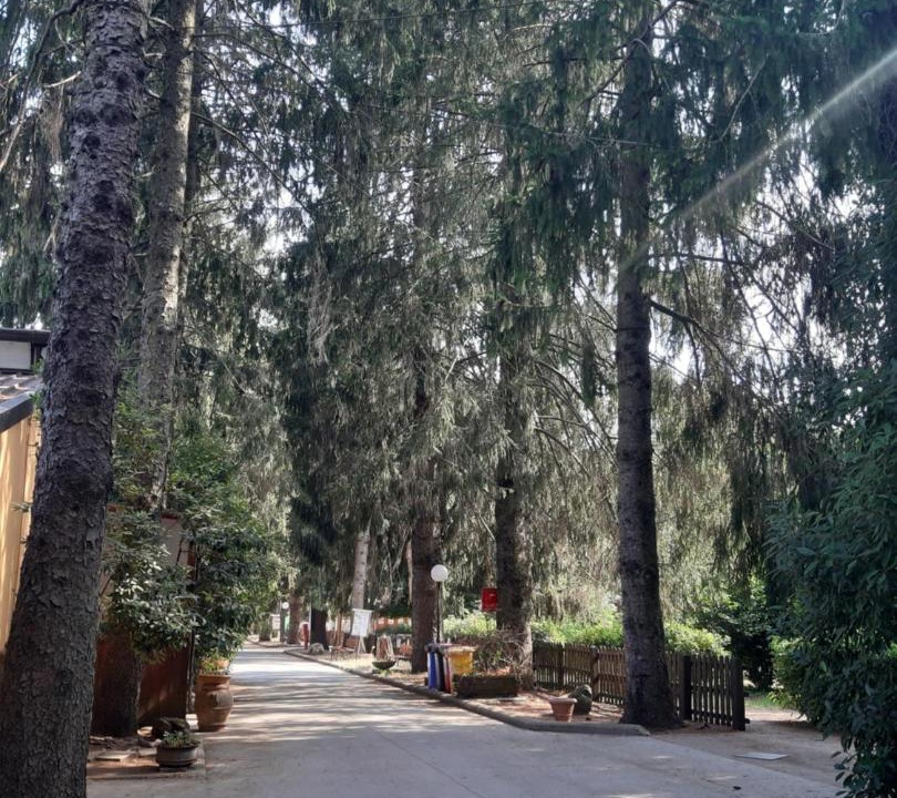 Photo of Others in Velletri