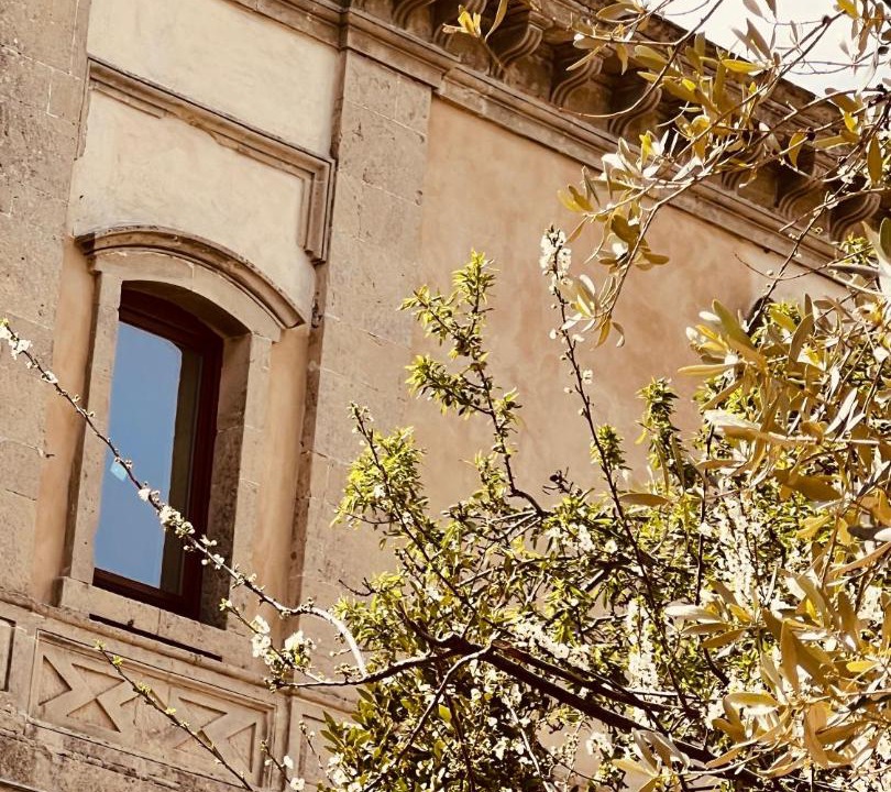 Photo of Others in Carlentini