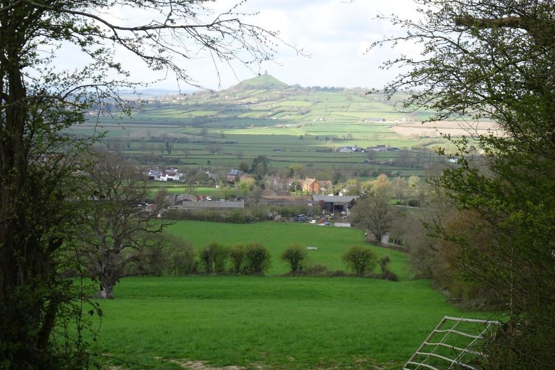 Photo of Others in East Pennard