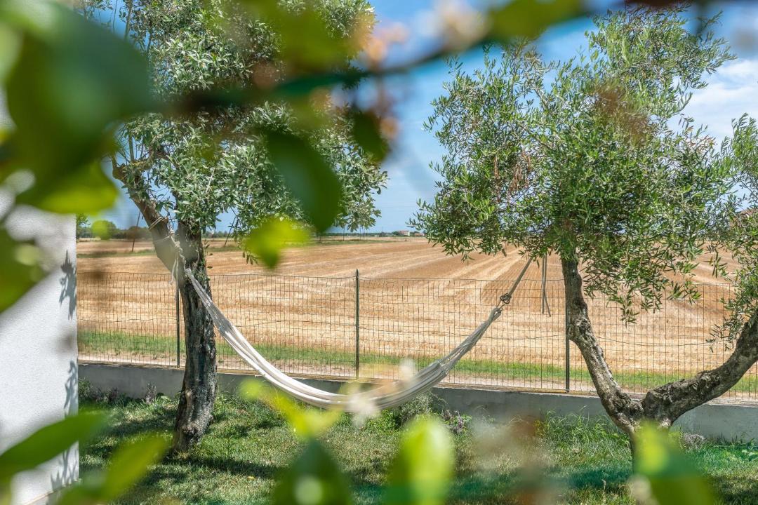 Photo of Others in Villa Musone