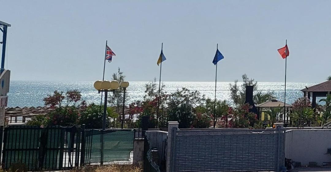 Photo of Others in Scialara