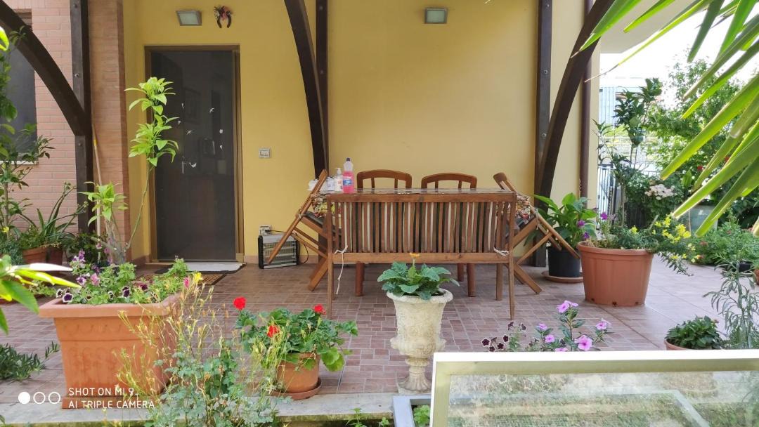 Photo of Others in San Benedetto del Tronto