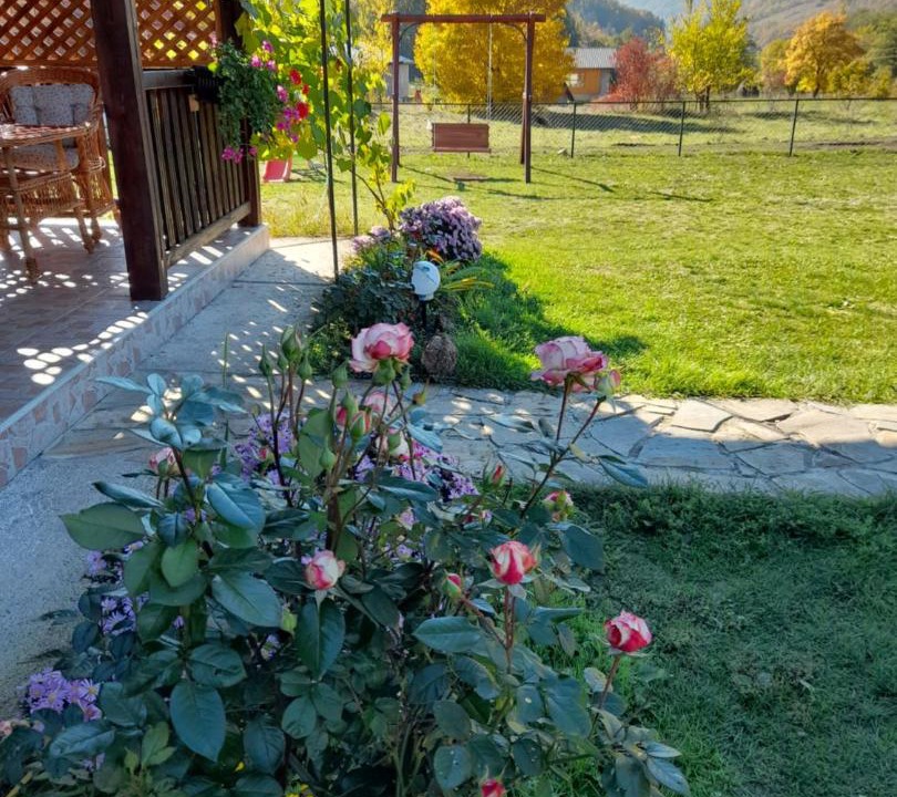 Photo of Others in Mokra Gora