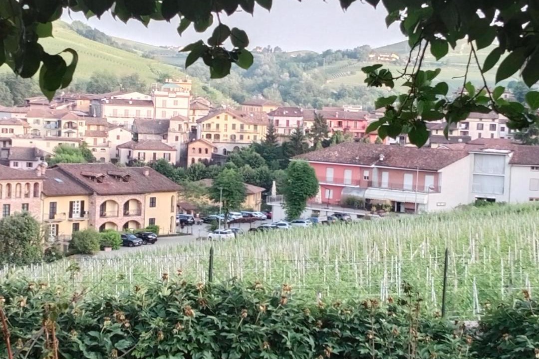 Photo of Buildings in Barolo