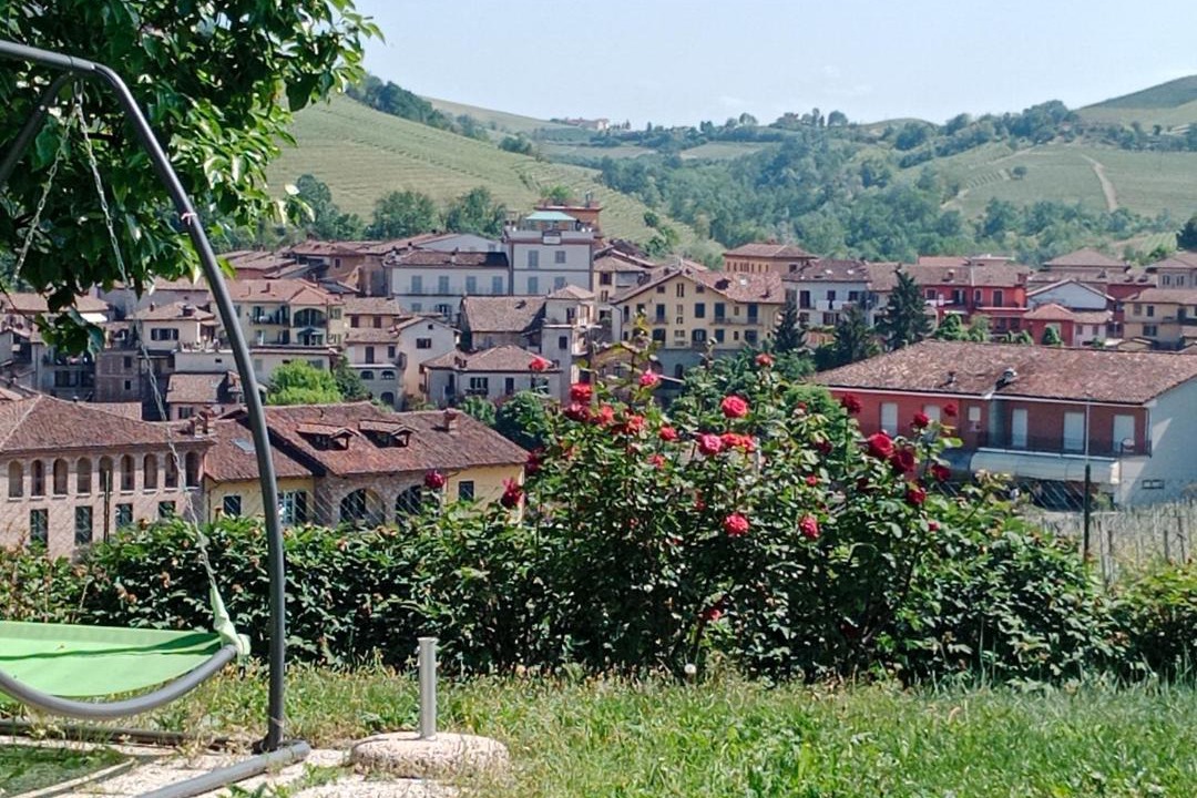 Photo of Others in Barolo