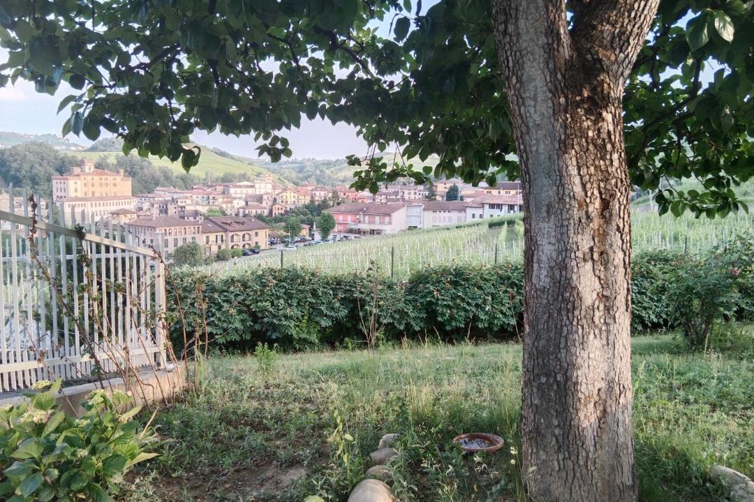 Photo of Others in Barolo