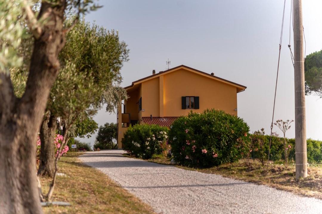 Photo of Others in Rosignano Marittimo