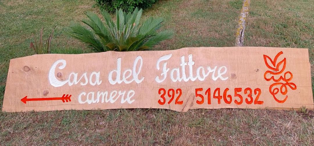 Photo of Others in Osimo