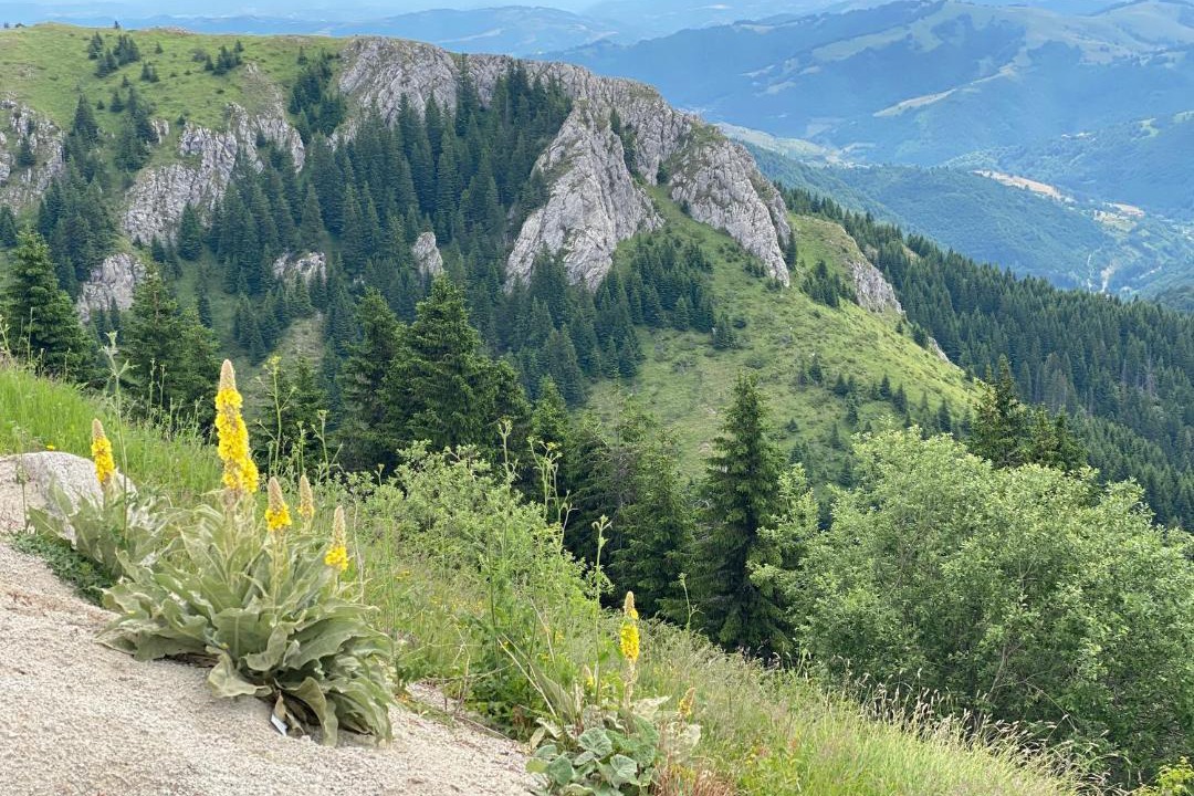 Photo of Outdoor in Lisina
