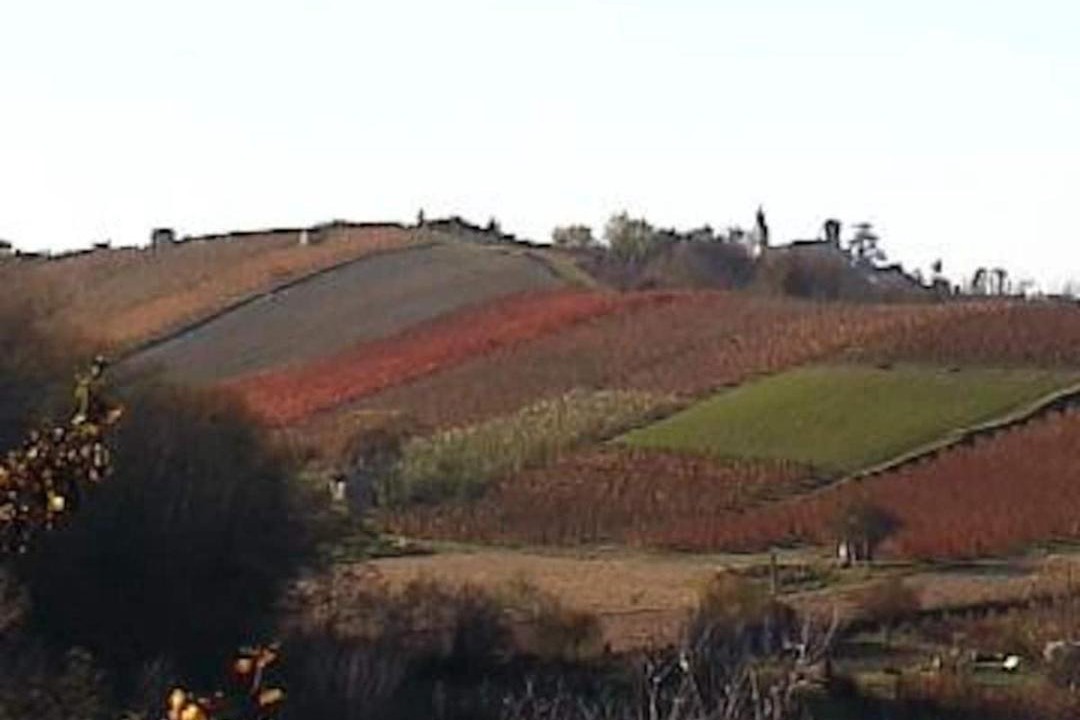 Photo of Others in Rocca Grimalda