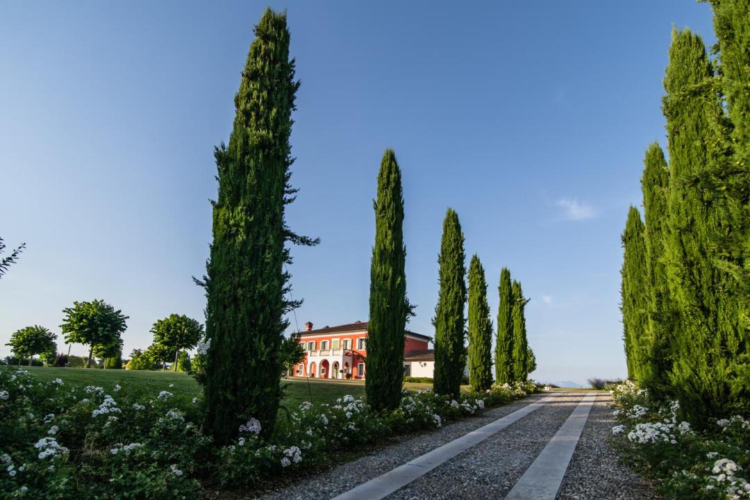 Photo of Others in Desenzano del Garda