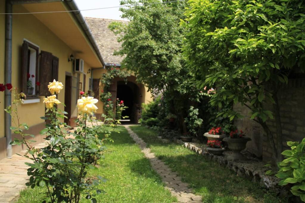 Photo of Others in Sremski Karlovci
