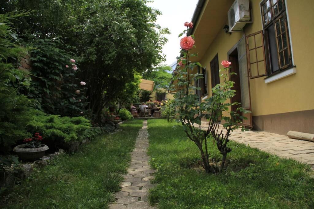 Photo of Others in Sremski Karlovci