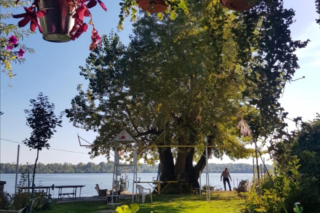 Photo of Others in Vojvodina