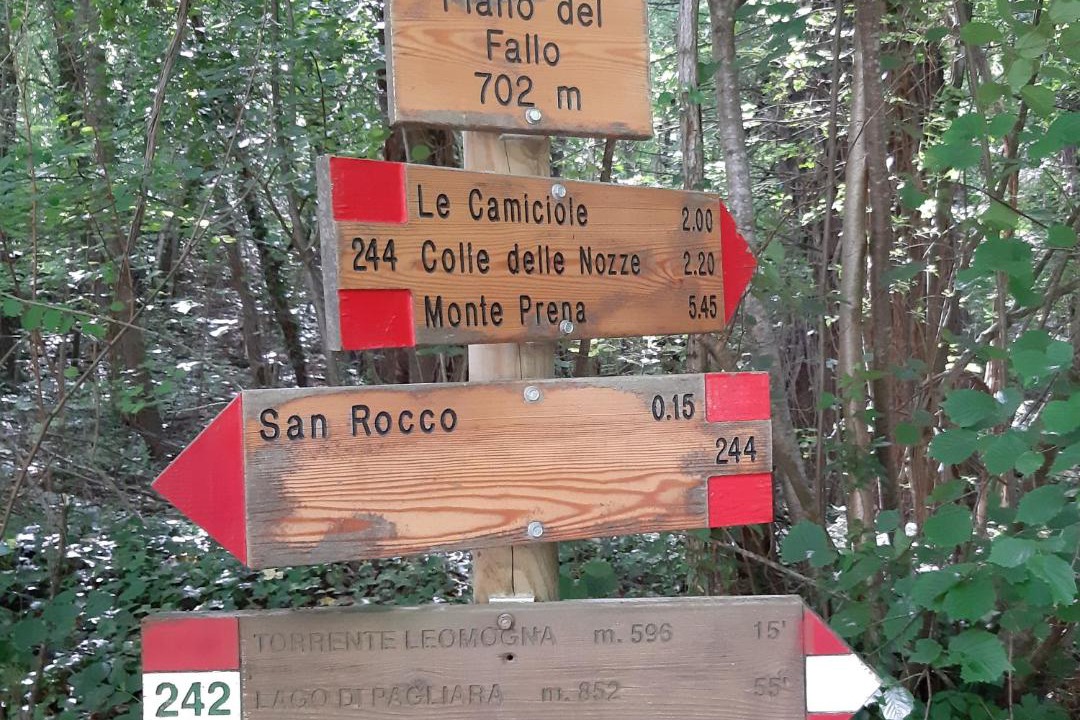 Photo of Others in Castelli