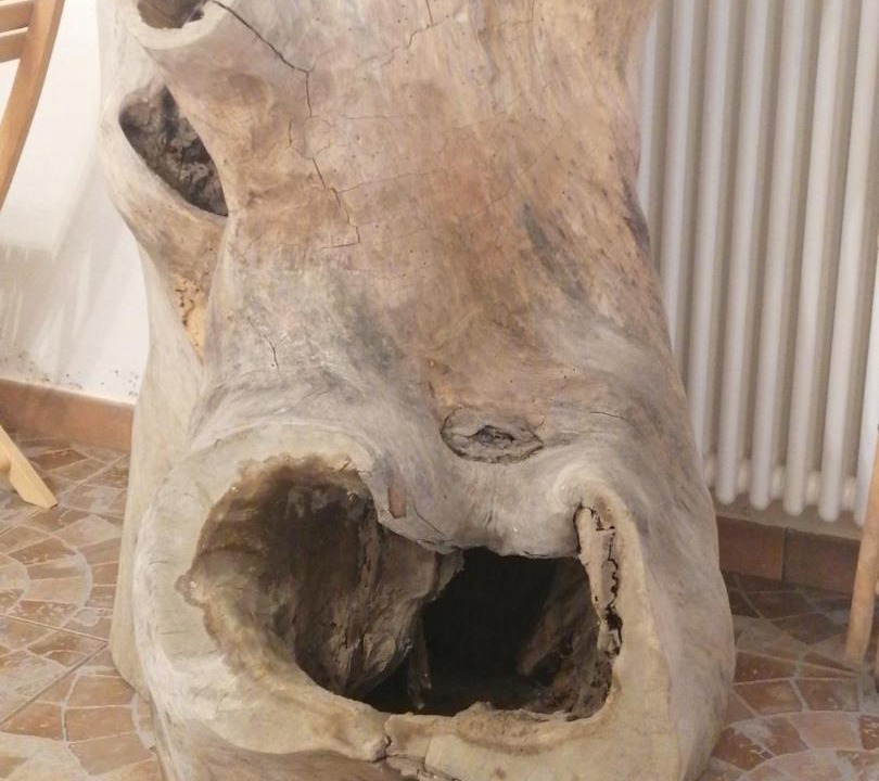 Photo of Others in San Benedetto Val di Sambro