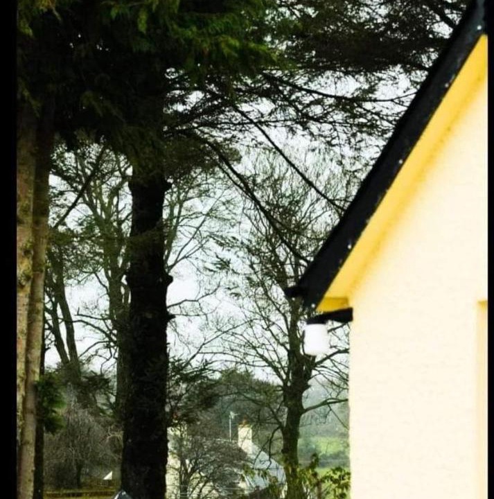 Photo of Others in Magherafelt