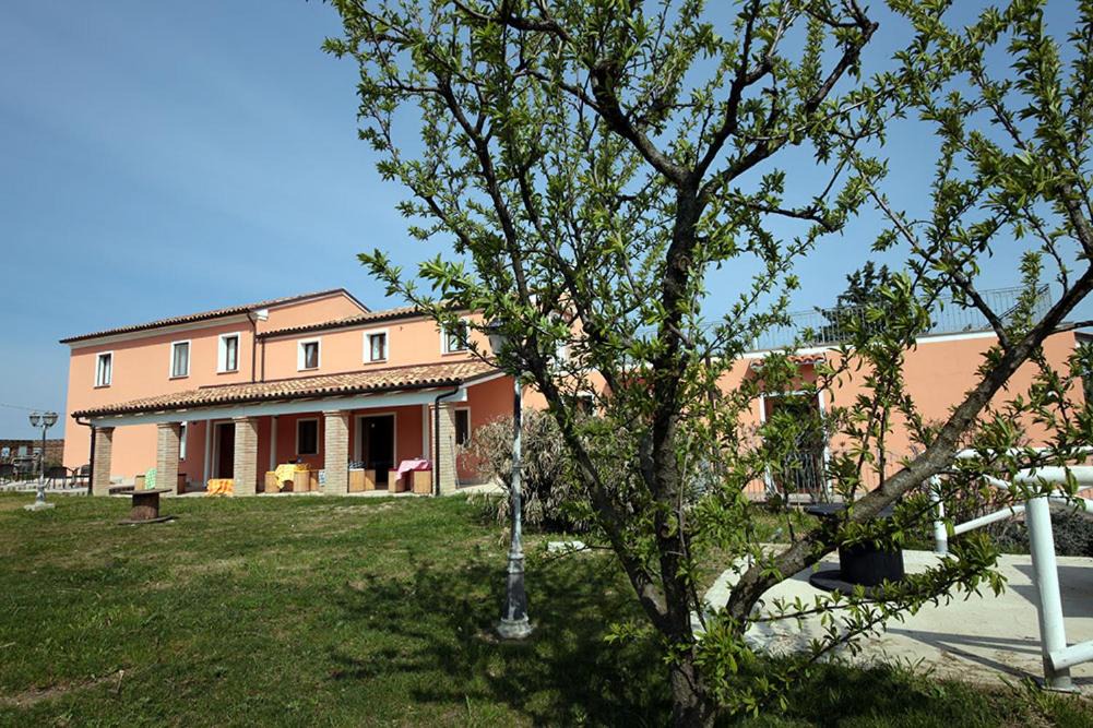 Photo of Others in Mombaroccio