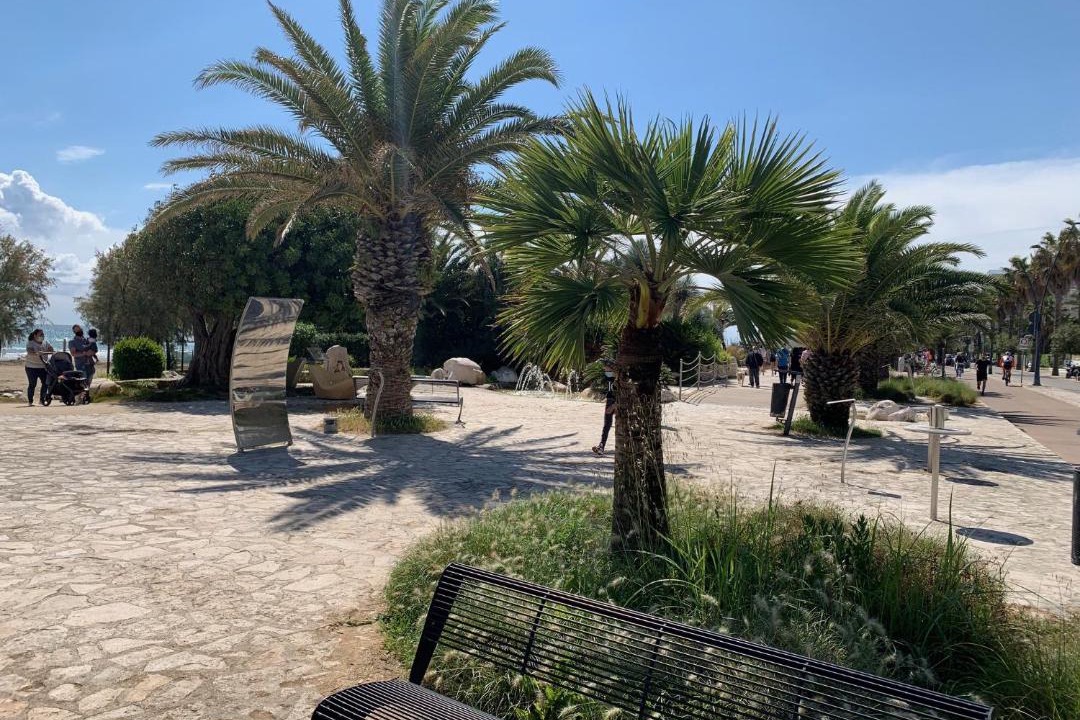 Photo of Others in Porto d'Ascoli