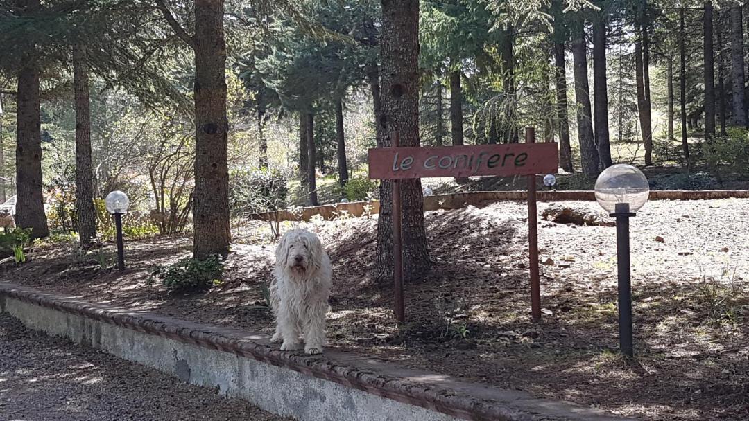 Photo of Outdoor in Pignola