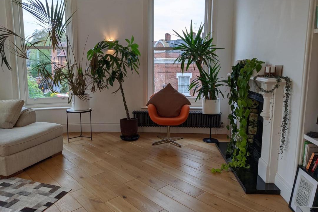 Photo of Livingroom in Hampstead
