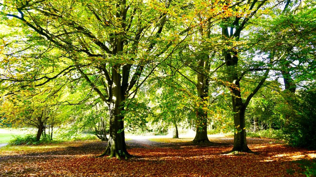 Photo of Outdoor in Hampstead