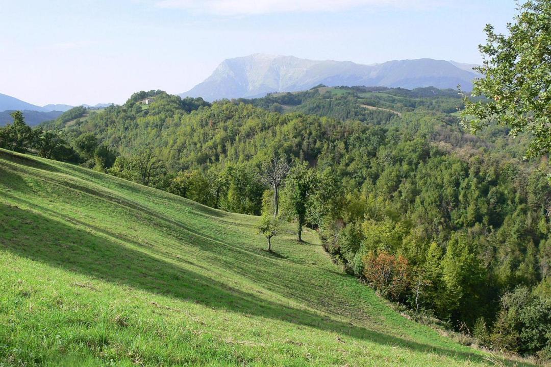 Photo of Outdoor in Montefortino