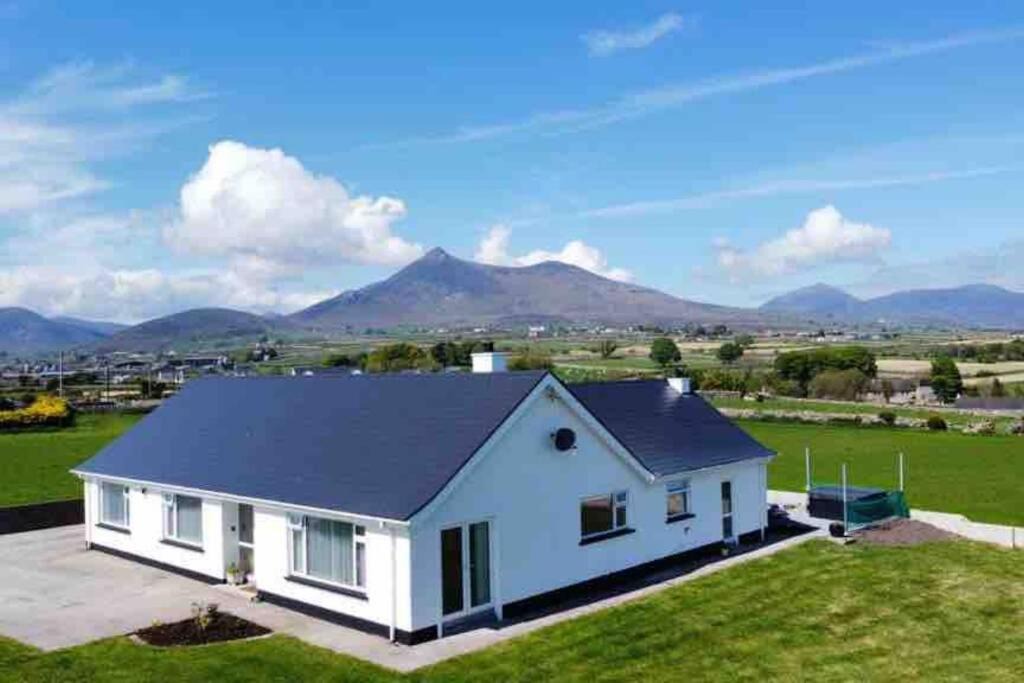 Photo of Buildings in Newry
