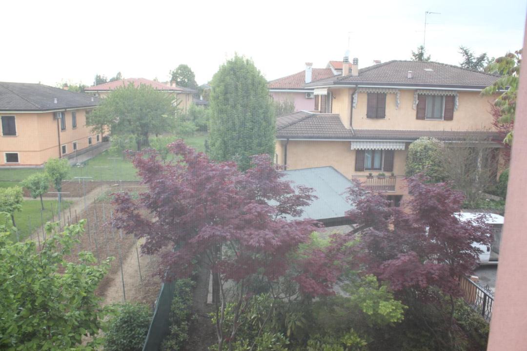 Photo of Buildings in Curtatone