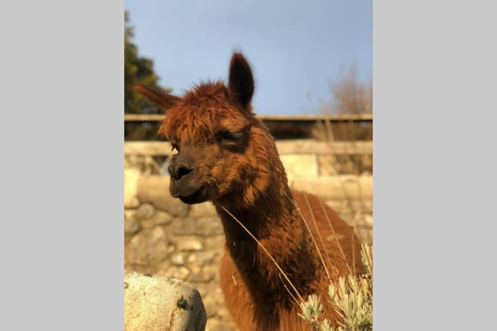 Photo of Others in Borgo di Terzo