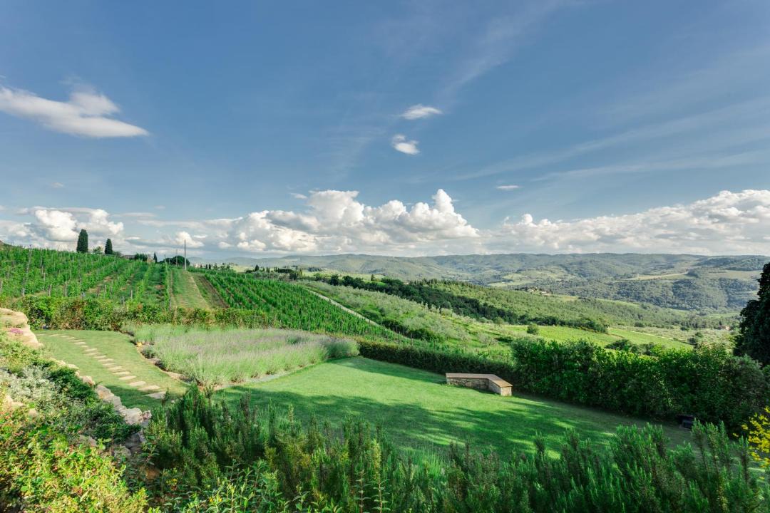 Photo of Others in Greve in Chianti