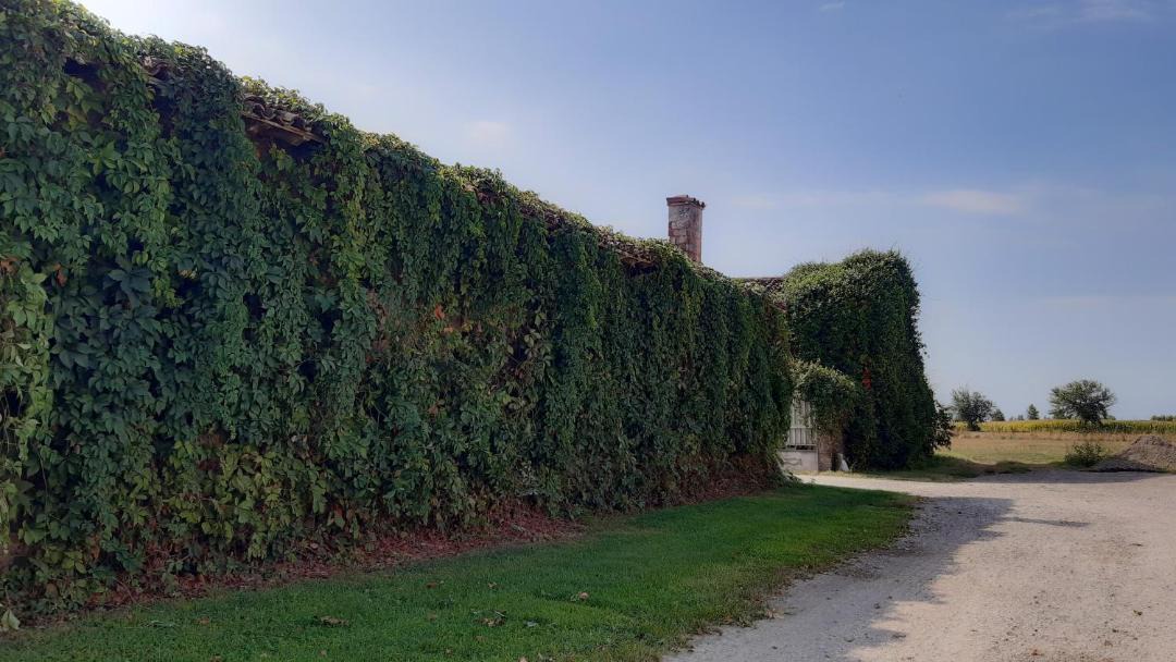Photo of Others in Montichiari