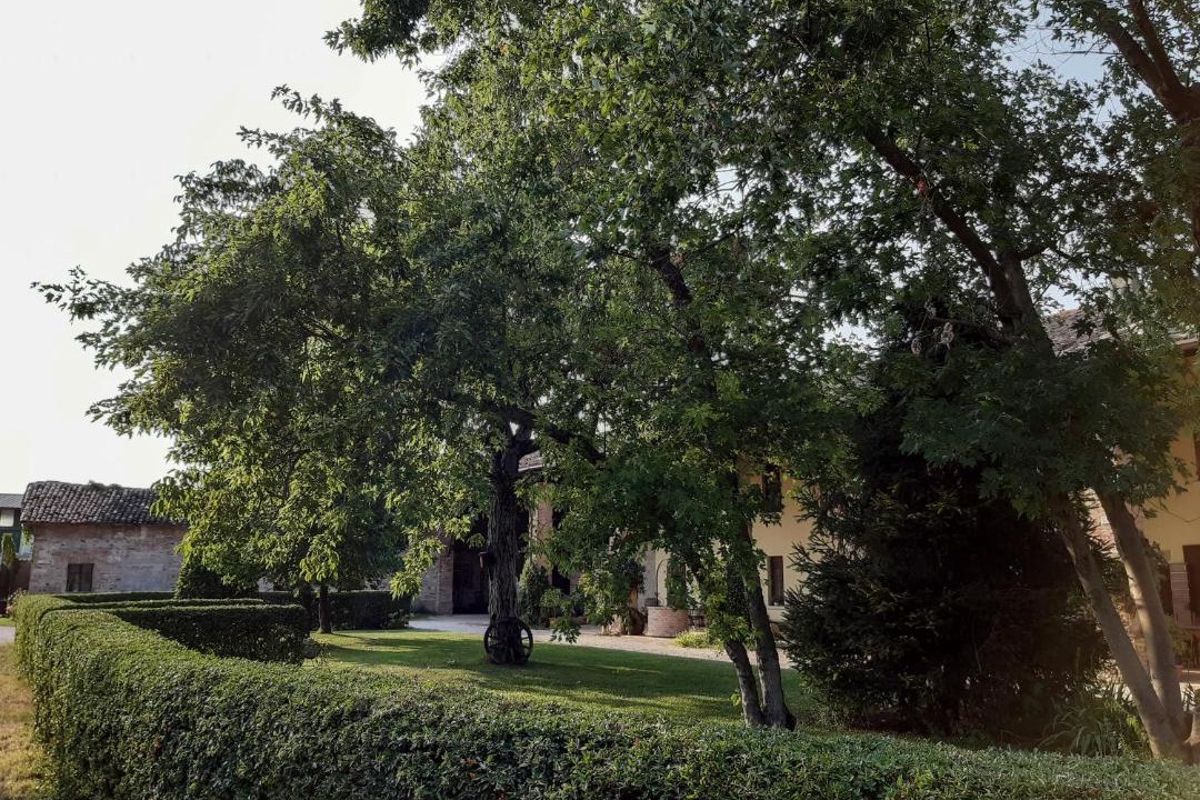 Photo of Others in Montichiari