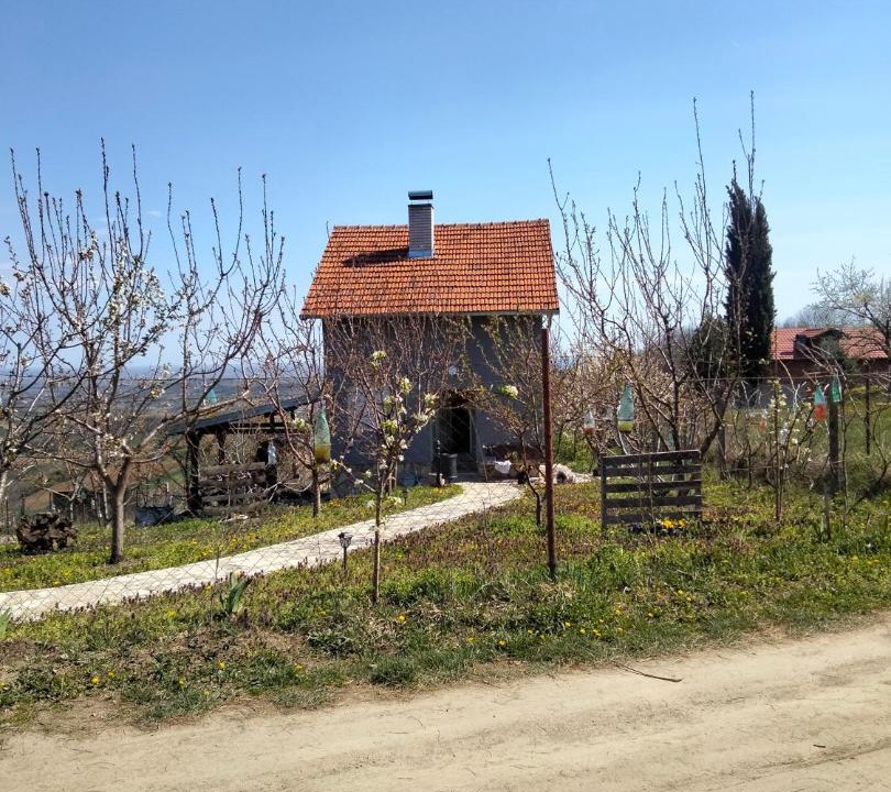 Photo of Buildings in Petrovaradin